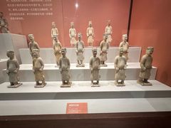 -安阳博物馆
