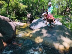 -云岫谷自然风景区
