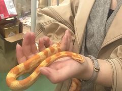-藦茜花园宠物主题亲子互动体验馆(国顺东路店)