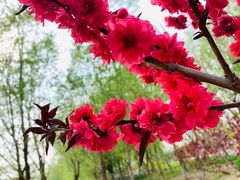 -东郊湿地公园