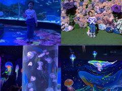 -顺德南宏海立方海洋公园