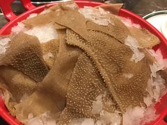 -蜀辣居鲜货老火锅(红牌楼店)