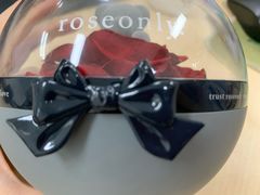 -ROSEONLY诺誓(国际广场购物中心店)