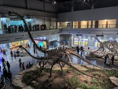 -自贡恐龙博物馆