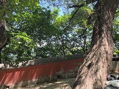 -阳台山自然风景区
