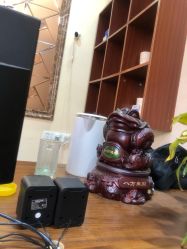 -痣缘宫