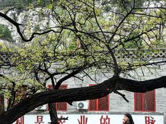 -窦大夫祠