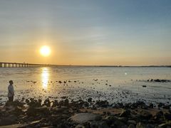 -宝安西湾红树林湿地公园