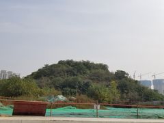 -西安市长乐公园