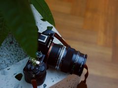 -Line 咖啡(石厦花园店)