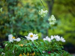 -江南大学(蠡湖校区)