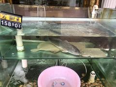 水产区-四海鲜渔家菜(黄金海岸店)