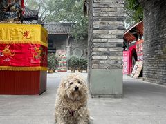 -黄龙溪古镇