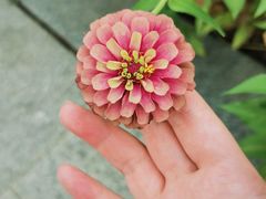 -白塘生态植物园