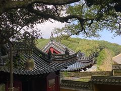 -普陀山风景区-佛顶山