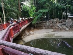 -清迈夜间动物园