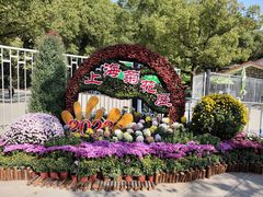 -上海共青森林公园