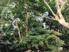 -华山儿童公园