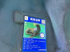 -威海华夏城景区