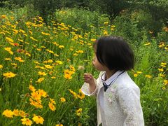 -南山风景名胜区