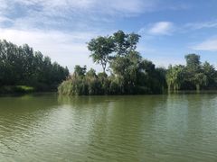 -白鹭湾湿地公园