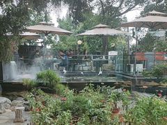 -蘇河湾·新鲁菜·泰山宴(泰山店)