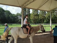 -太阳岛度假酒店