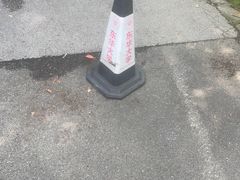 -东华大学(松江校区)
