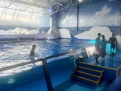 -秦皇岛乐岛海洋王国