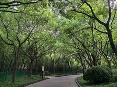 -黄兴公园