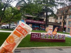 -华山263老字号品牌馆