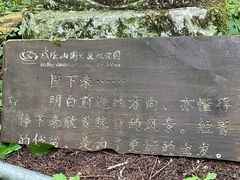 -武陵山森林公园