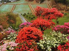 -梧桐山风景名胜区