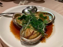 大连鲜鲍鱼-陶陶居海鲜酒家(新马路店)