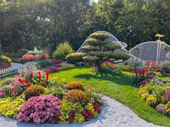 -上海共青森林公园