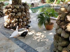 -三亚亚龙湾天域度假酒店