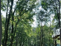 -WeLope紫金山探险公园