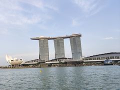 -新加坡乌节希尔顿酒店 (SG Clean)