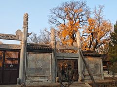 -苏州文庙(姑苏区)