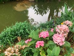 -人民公园(罗湖区)