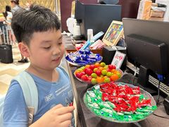 -上海浦东国际旅游度假区绿地铂骊酒店