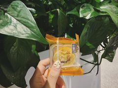 原味桂花糕-金顺昌桂林桂花伴手礼(正阳一店)