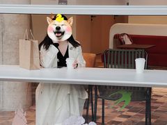 -原乡芦茨咖啡