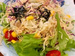 蔬菜沙拉-百步拉面