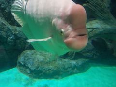 -常州海昌海洋探索馆