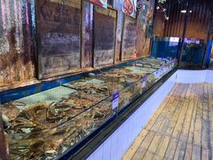 帝王蟹-开海·红岛海鲜虾水饺(石老人店)
