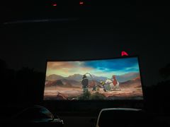 -枫花园汽车电影院(朝阳公园店)