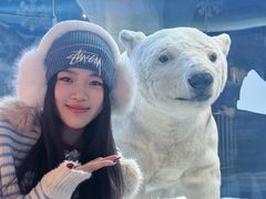 -合肥海洋世界