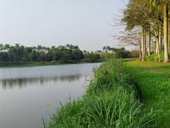 -聚龙山公园