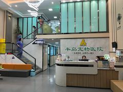 -半岛宠物医院24小时(科华中路店)